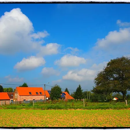 Archipel Ellezelles