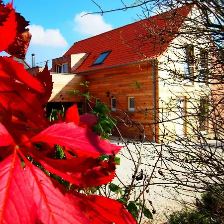 Archipel * Ellezelles