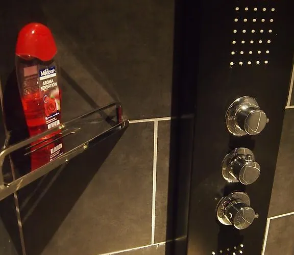 Archipel Holiday home Ellezelles